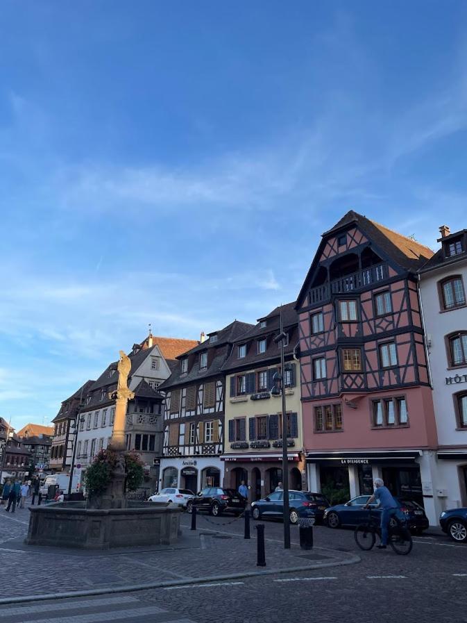 Le Beffroi Apartment Obernai Luaran gambar