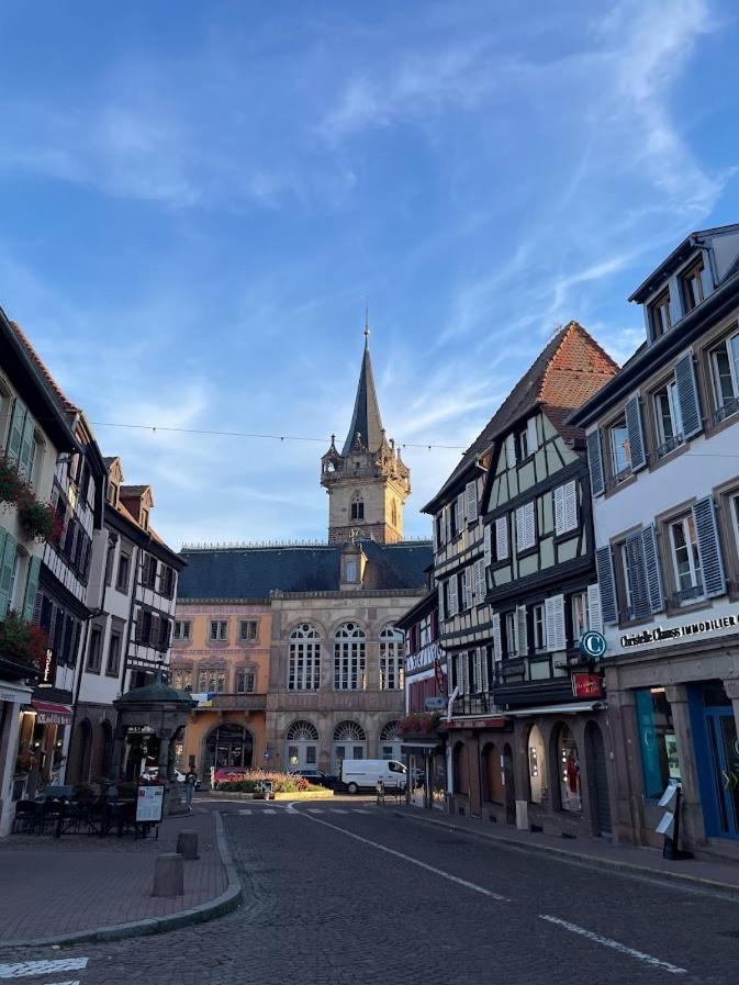 Le Beffroi Apartment Obernai Luaran gambar