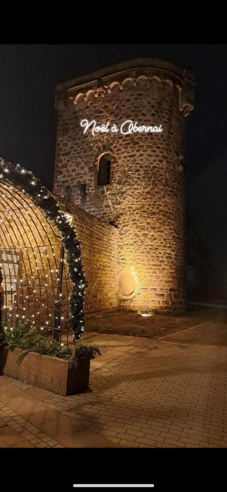 Le Beffroi Apartment Obernai Luaran gambar